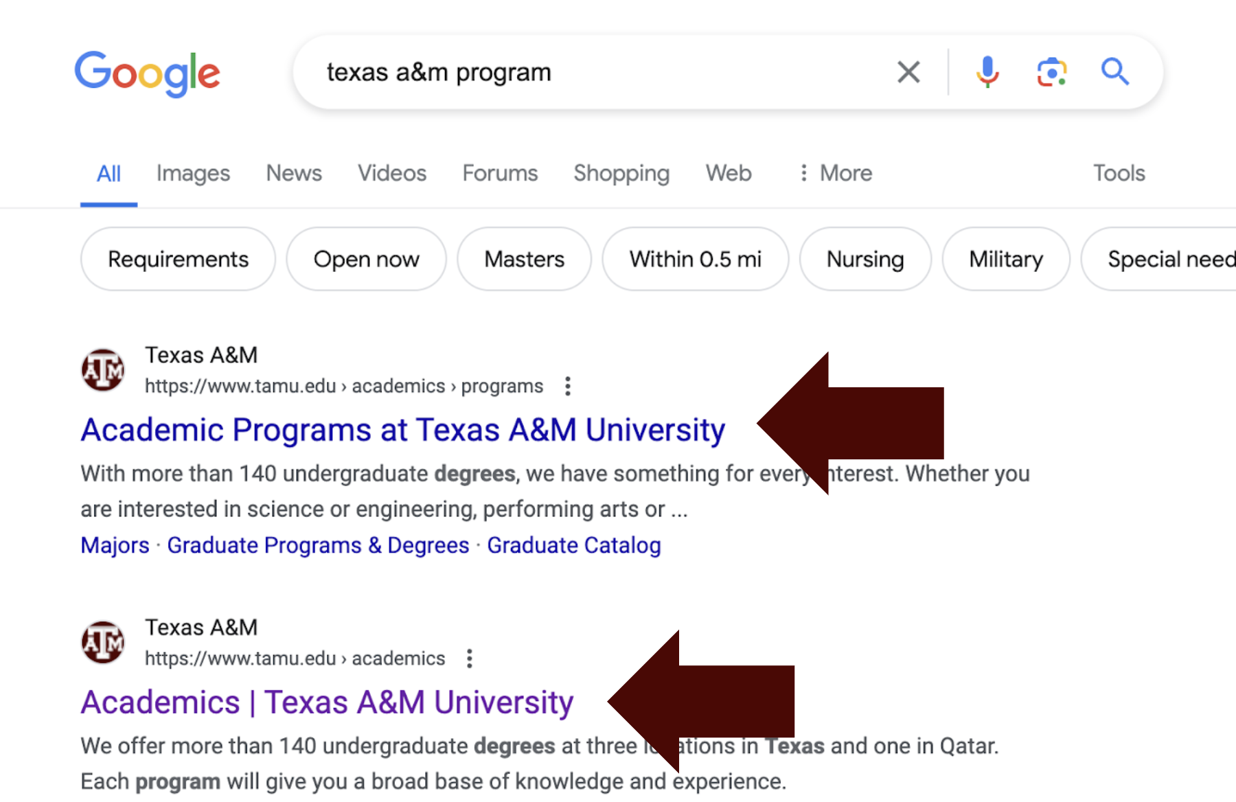 Screenshot of the google search engine emphasizing how titles appear on the search engine results page