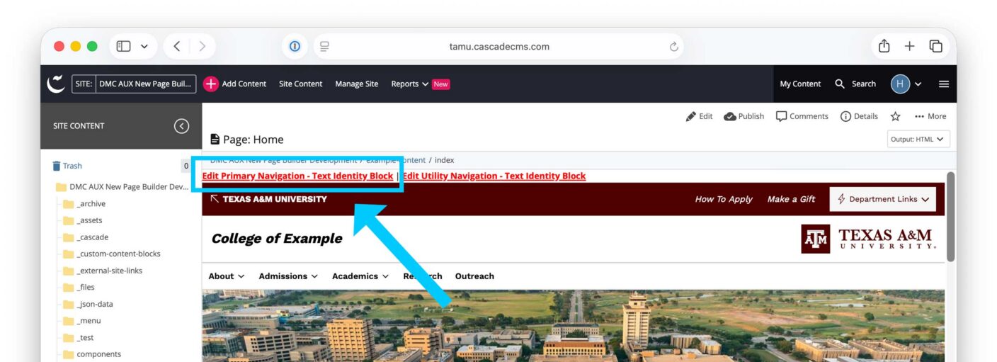 Screenshot showing the location of the Edit Primary Navigation link
